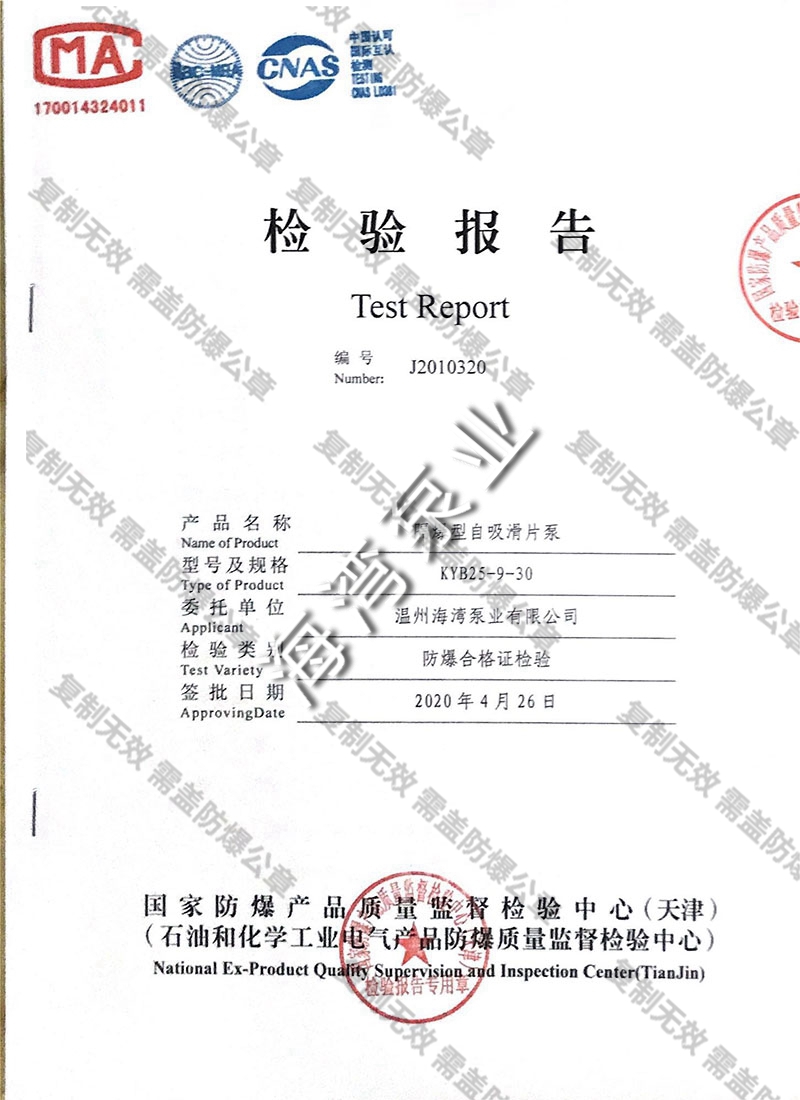 隔爆型自吸滑片泵檢查報(bào)告