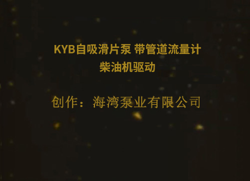 KYB自吸滑片泵 帶管道流量計  柴油機驅動