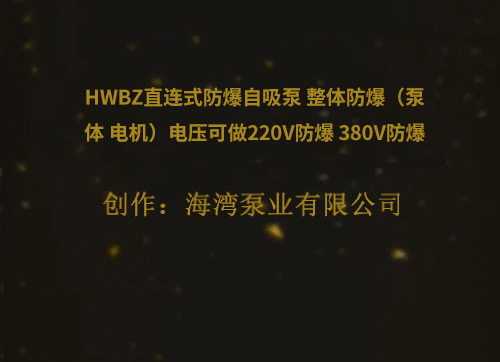 HWBZ直連式防爆自吸泵 整體防爆（泵體 電機）電壓可做220V防爆 380V防爆