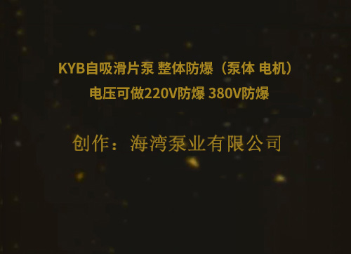 KYB自吸滑片泵 整體防爆（泵體 電機）電壓可做220V防爆 380V防爆