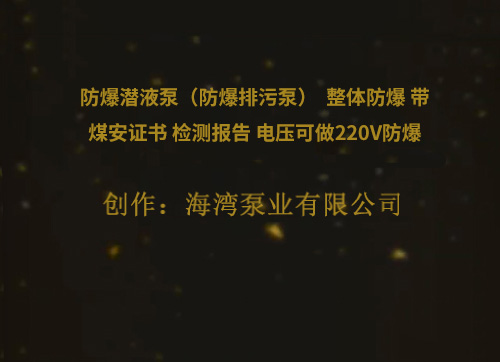 防爆潛液泵（防爆排污泵）  整體防爆 帶煤安證書 檢測報告 電壓可做220V防爆  380V防爆