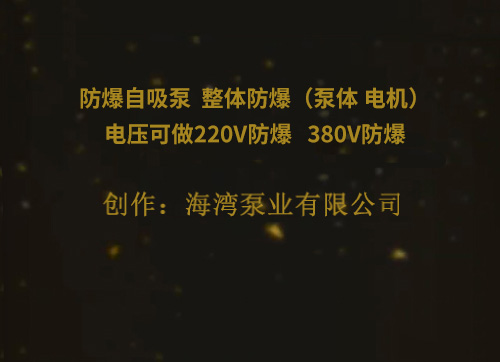 防爆自吸泵  整體防爆（泵體 電機(jī)）電壓可做220V防爆   380V防爆