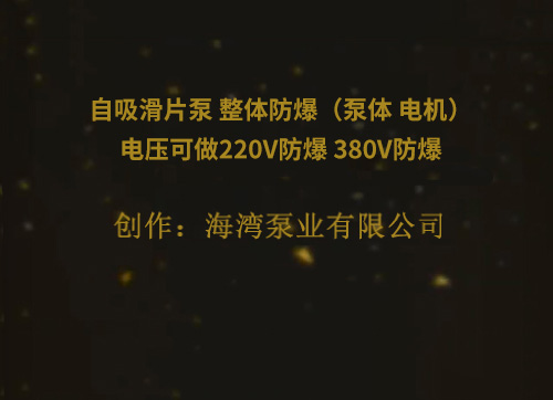 自吸滑片泵 整體防爆（泵體 電機(jī)）電壓可做220V防爆 380V防爆