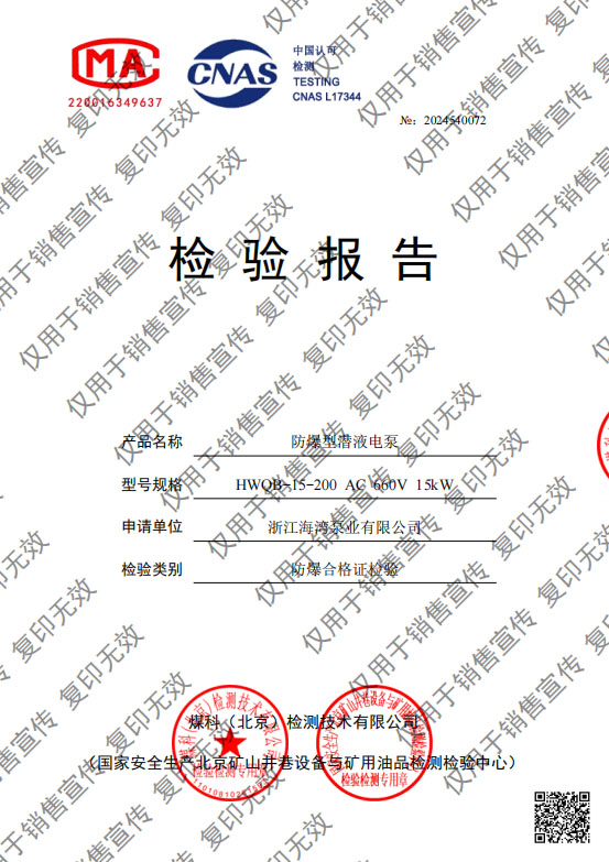 防爆型潛液電泵 15kw