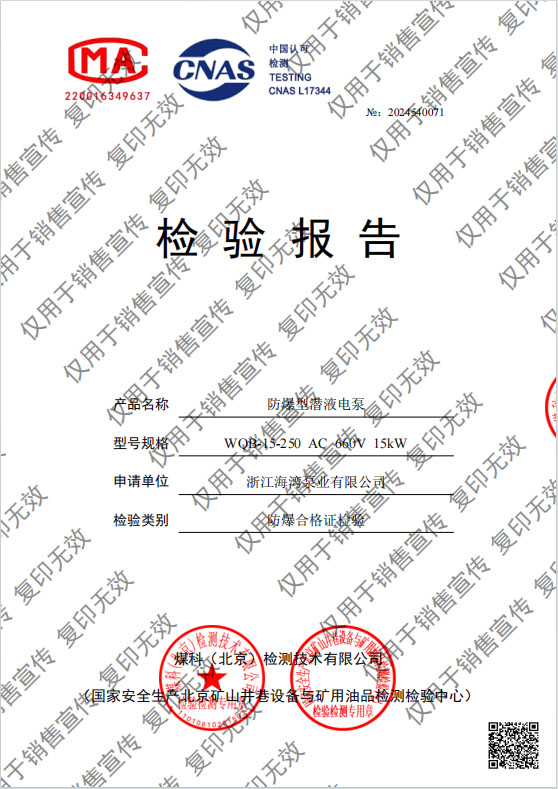 防爆型潛液電泵